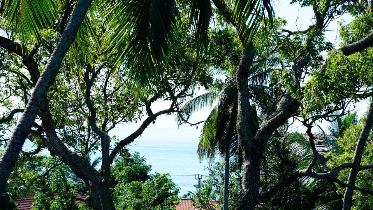 Sea Bay Inn Tangalle Bagian luar foto