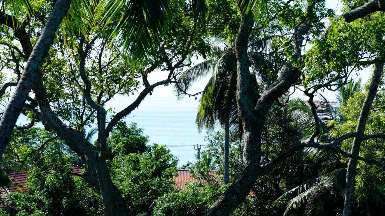 Sea Bay Inn Tangalle Bagian luar foto